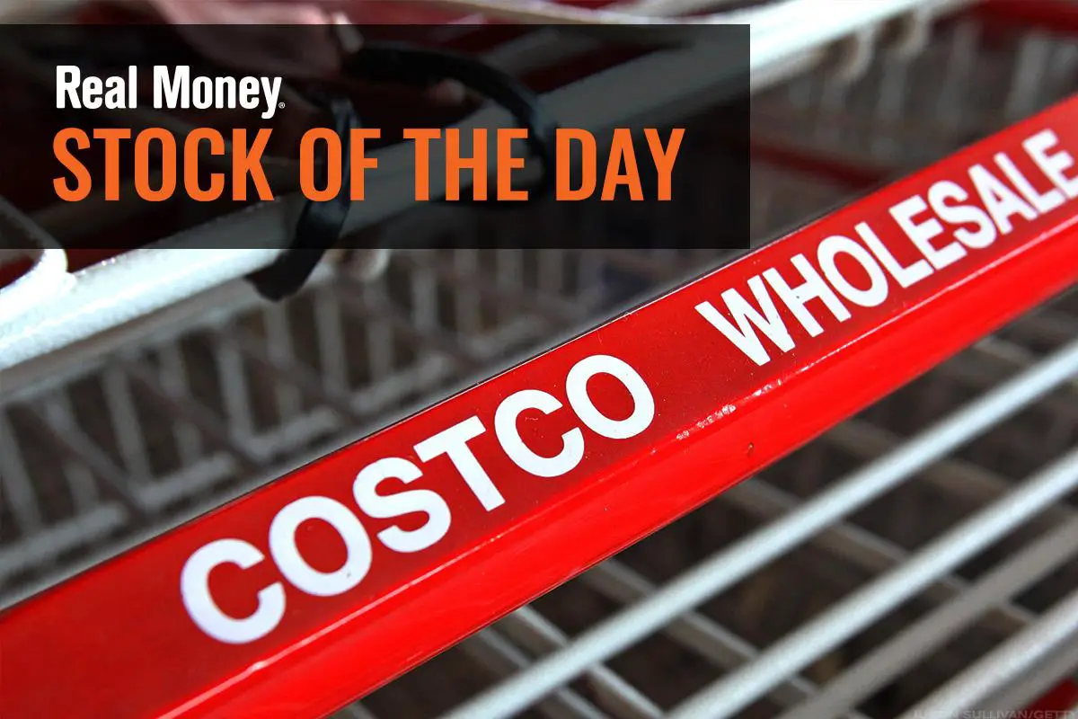 What Does Investing In Costco Stock Mean For You