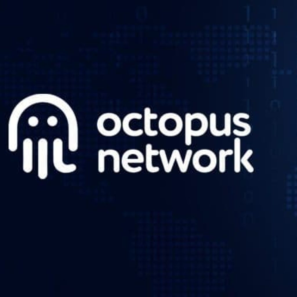 Recent Project’s Of The Octopus Network Laying Off Forty Percent Of Its ...